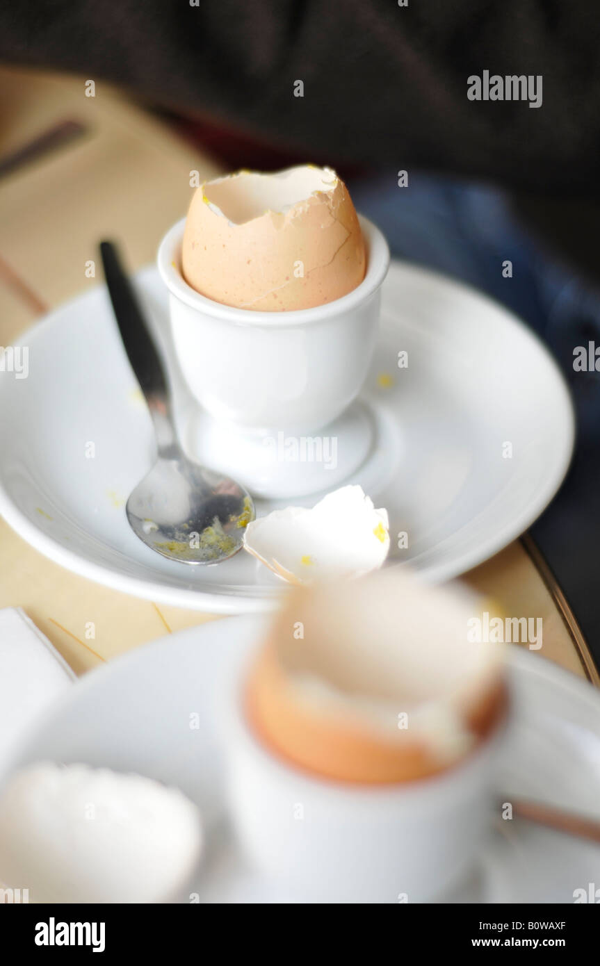 Breakfast eggs in eggcups, Munich, Bavaria, Germany Stock Photo