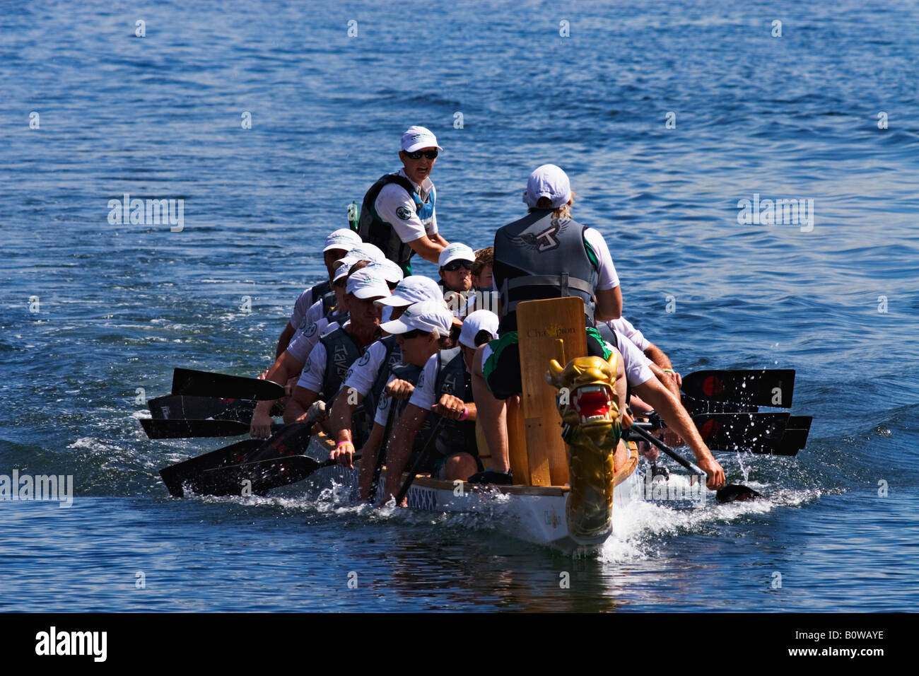 Melbourne Festivals / A Competing Dragonboat team in action in one of the many races held in Melbourne Docklands Australia. Stock Photo
