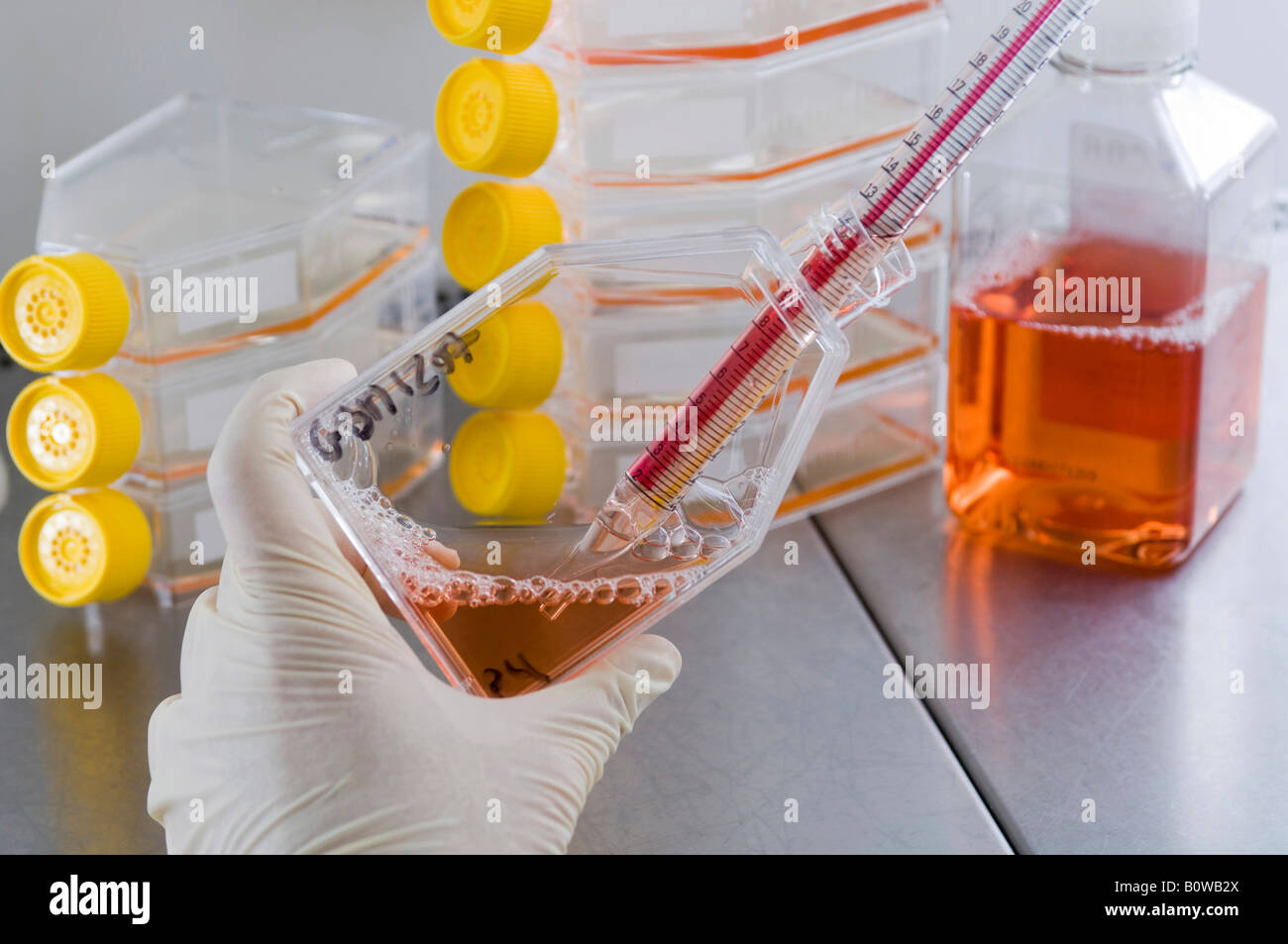 Tumor Cell High Resolution Stock Photography and Images - Alamy