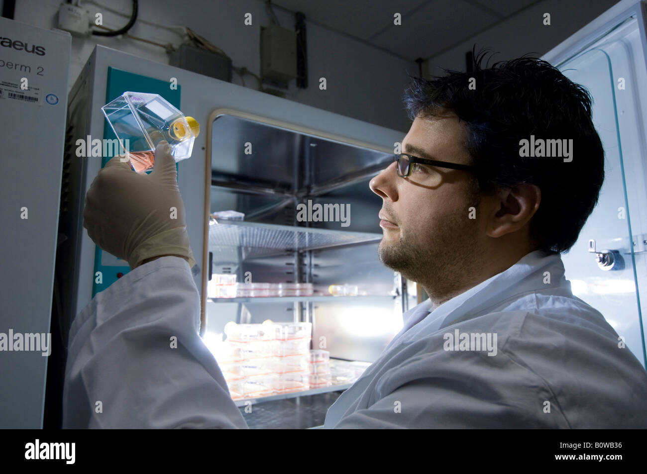 Stem cell research, Max Planck Institute for Molecular Genetics, laboratory technician at incubator with cells, Berlin, Germany Stock Photo