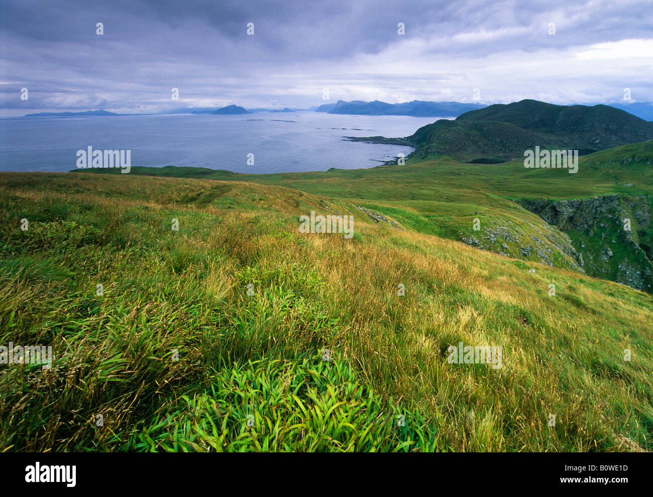 View over vast grasslands and the sea on Runde Island, More og Romsdal, Norway, Scandinavia, Europe Stock Photo