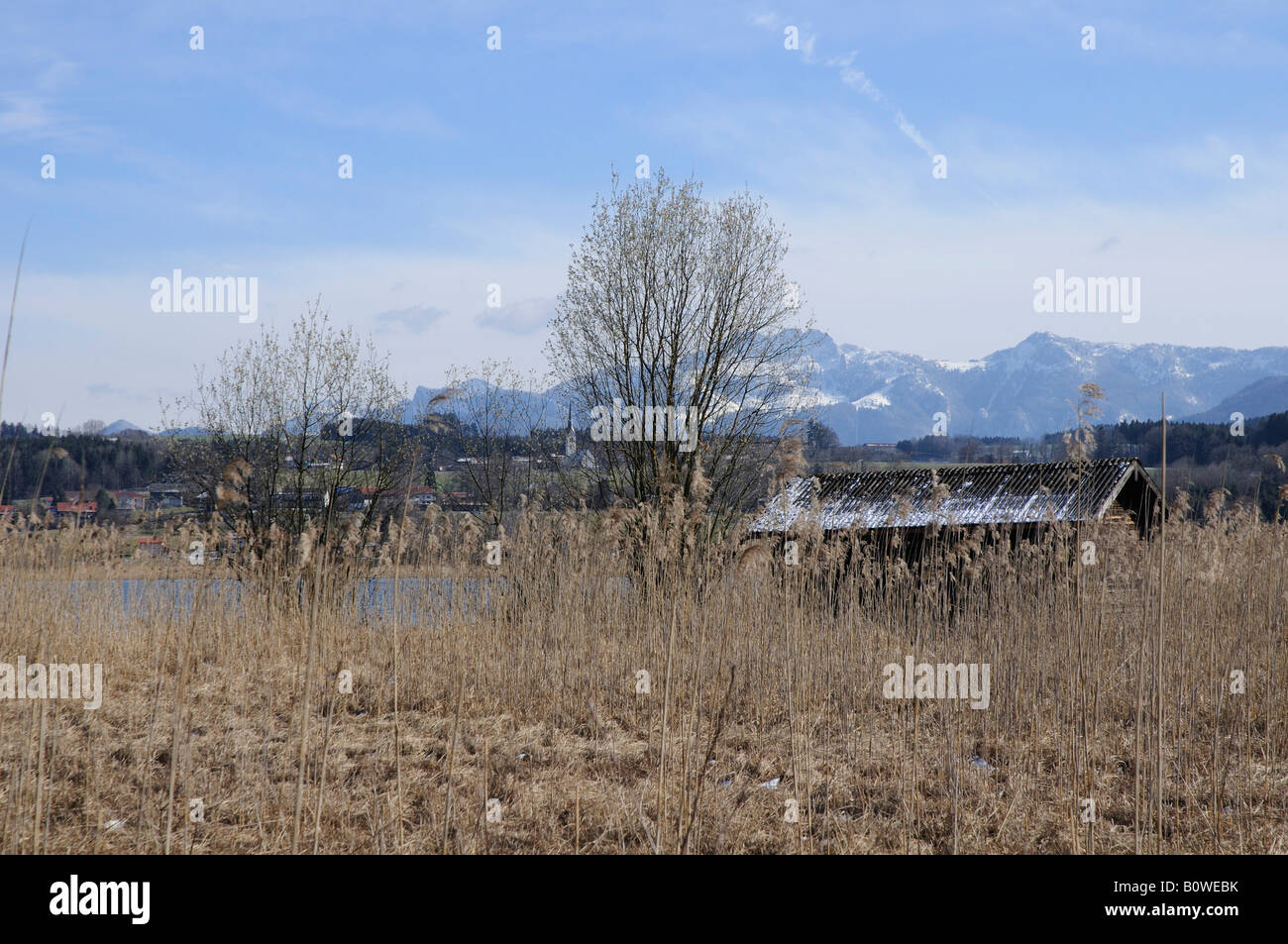 Fisherman's hut and reeds on the shore of Lake Simssee in March, village of Neukirchen and Mt. Kampenwand at back, Rosenheim Co Stock Photo
