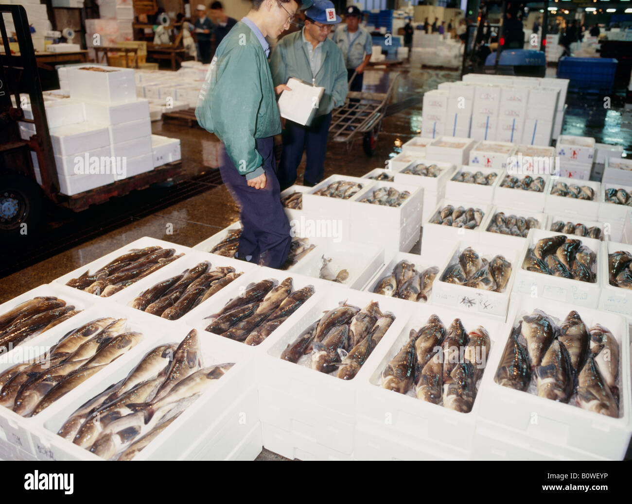 Fish market, Hakodate, Hokkaido, Japan Stock Photo Alamy