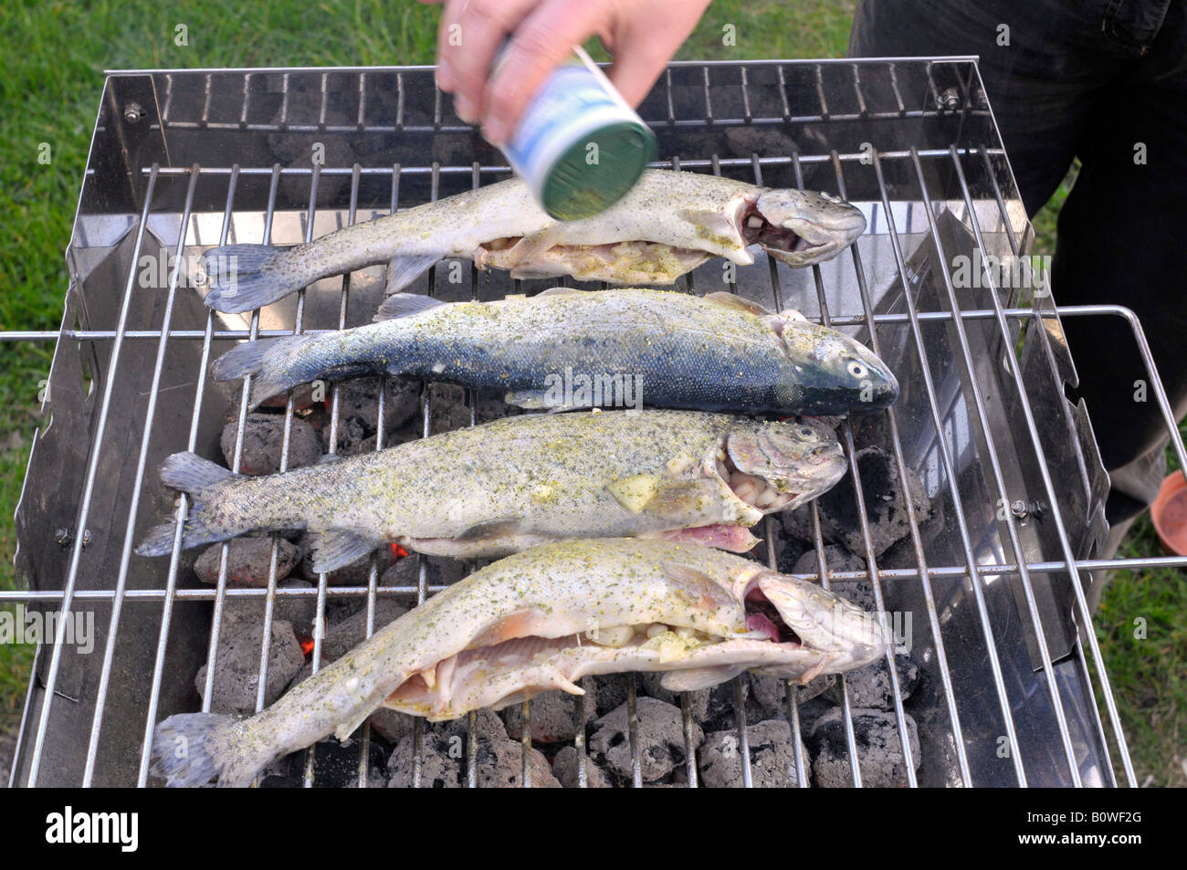 Four freshly caught fish hires stock photography and images Alamy