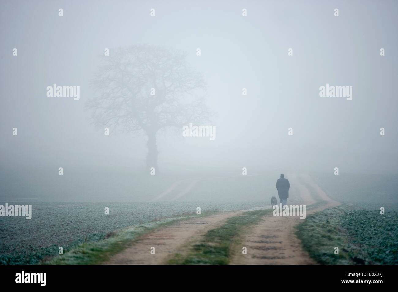A person and dog walking along a foggy country path Stock Photo