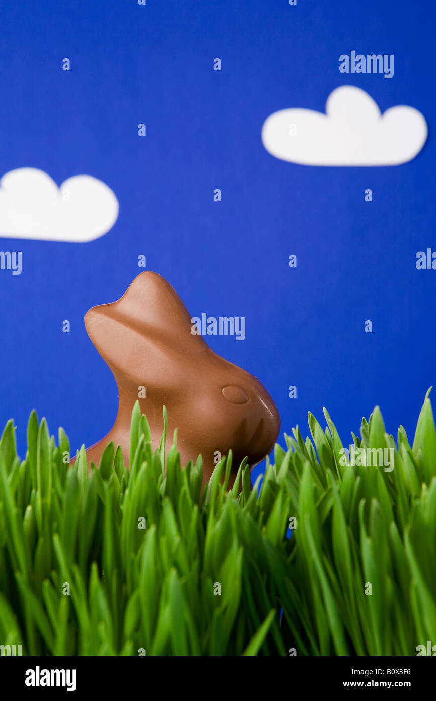 A chocolate Easter Bunny in grass Stock Photo