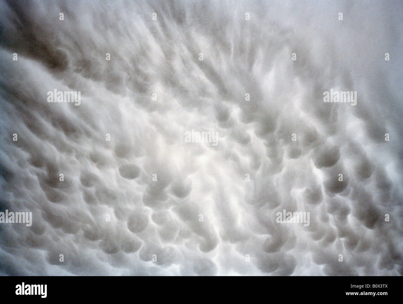 Cirrocumulus cloudscape Stock Photo