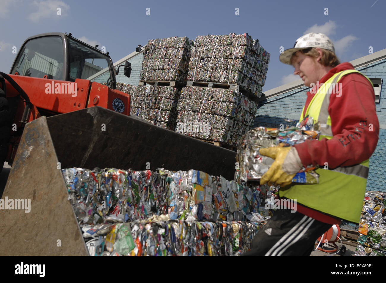 Aluminium and steel can recycling at Teignbridge district council recycling yard in Newton Abbot Devon Stock Photo
