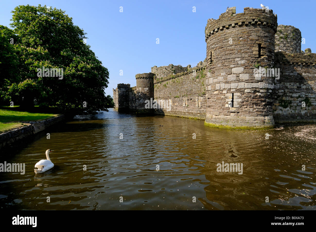 Beaumaris castle anglesey view hi-res stock photography and images - Alamy