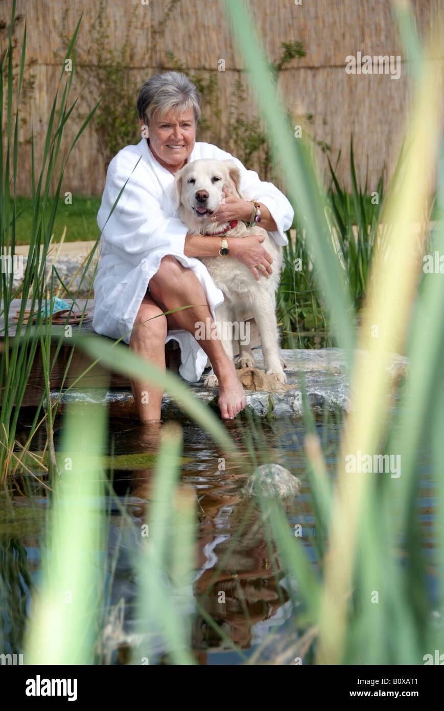 Senior golden retriever hi-res stock photography and images - Alamy