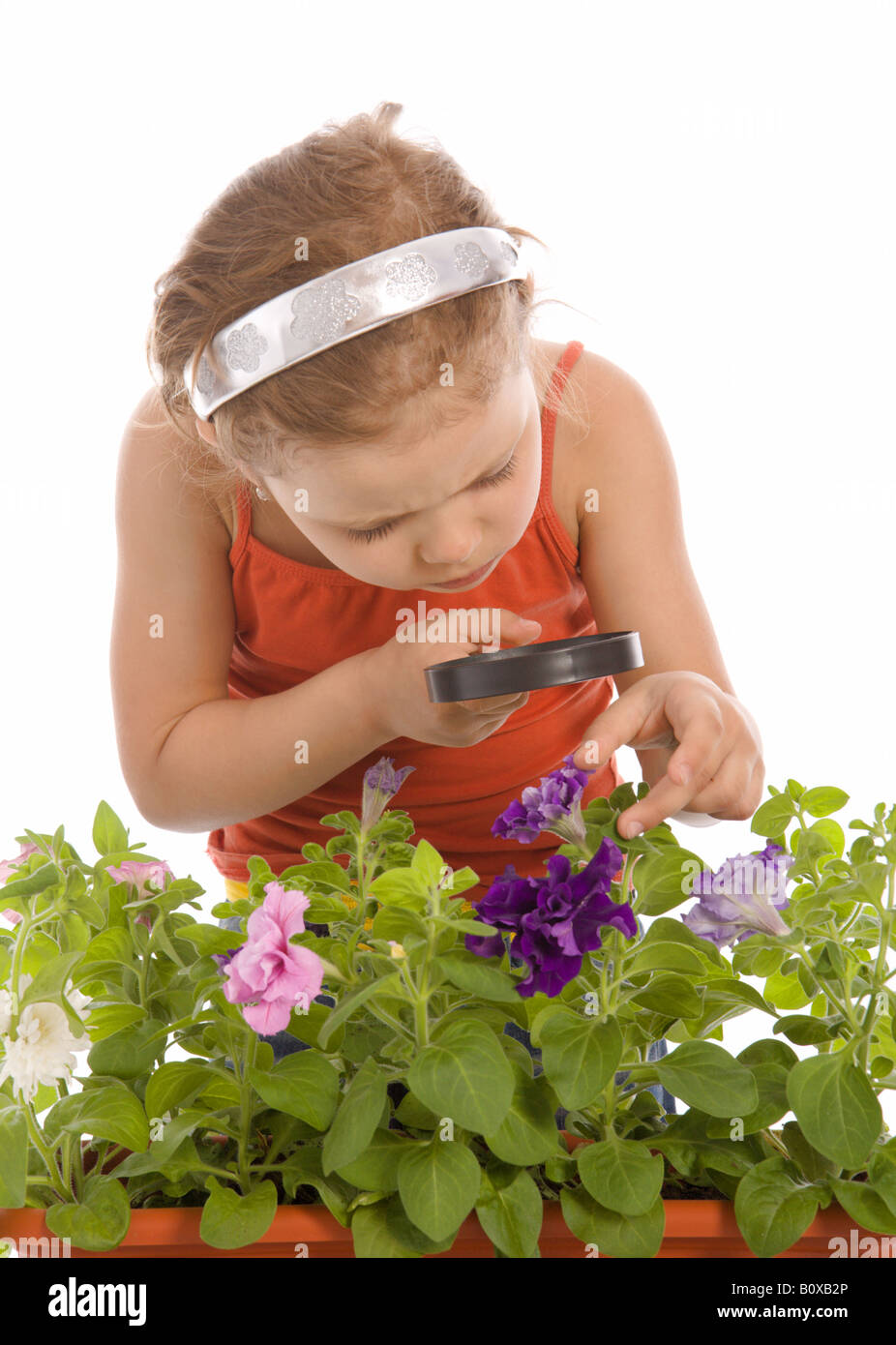 Young girl is looking through a magnifying glass and researching a flower Stock Photo