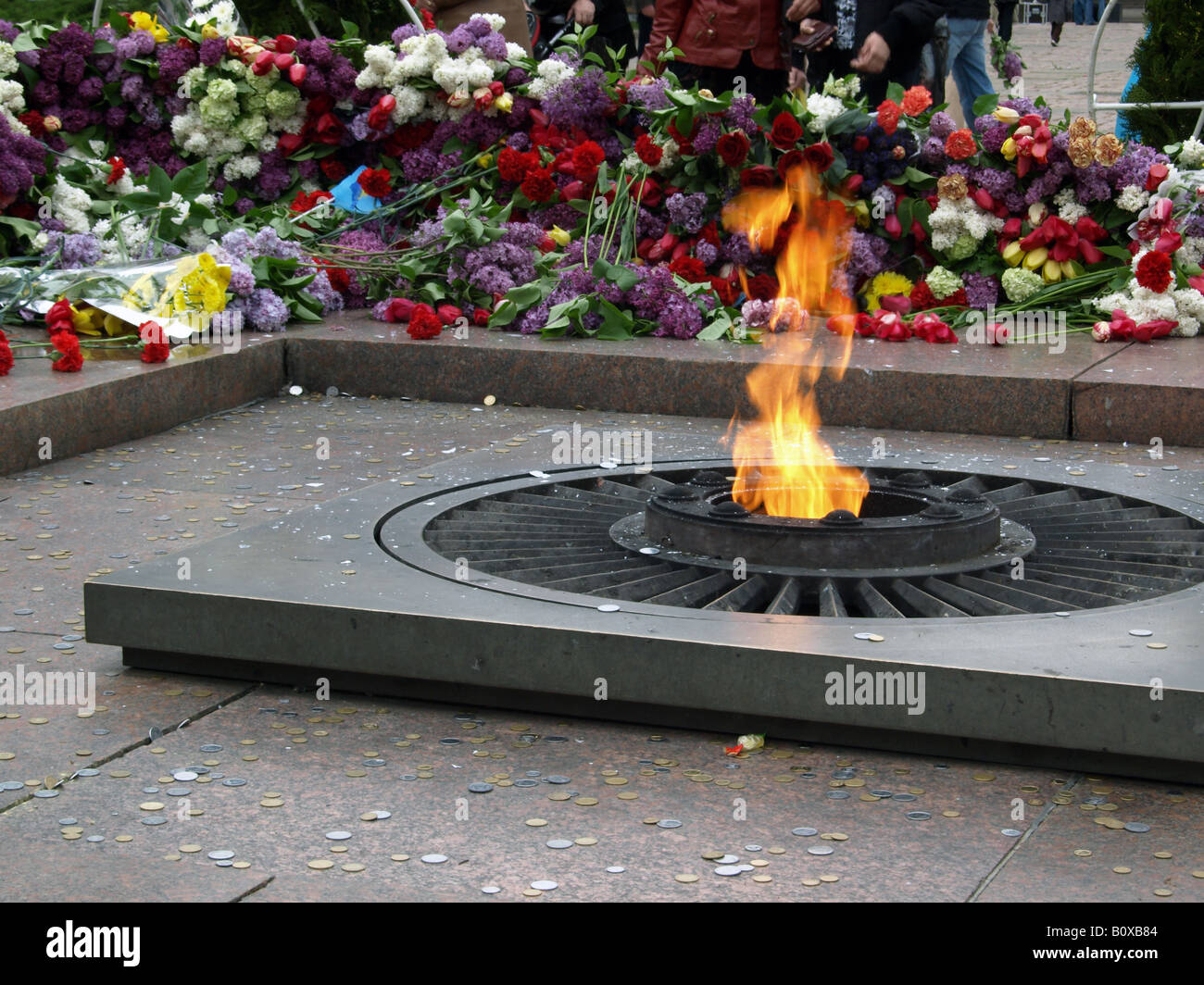 World war ii veterans flowers hi-res stock photography and images - Alamy