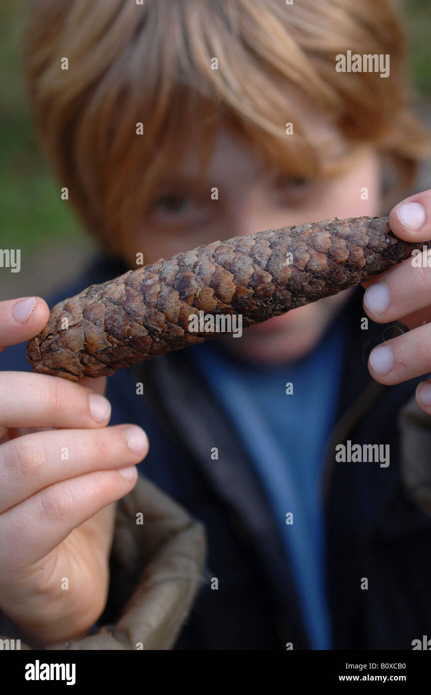 A young boy looking closely at a pine cone on a forest walk in Cornwall, UK Stock Photo