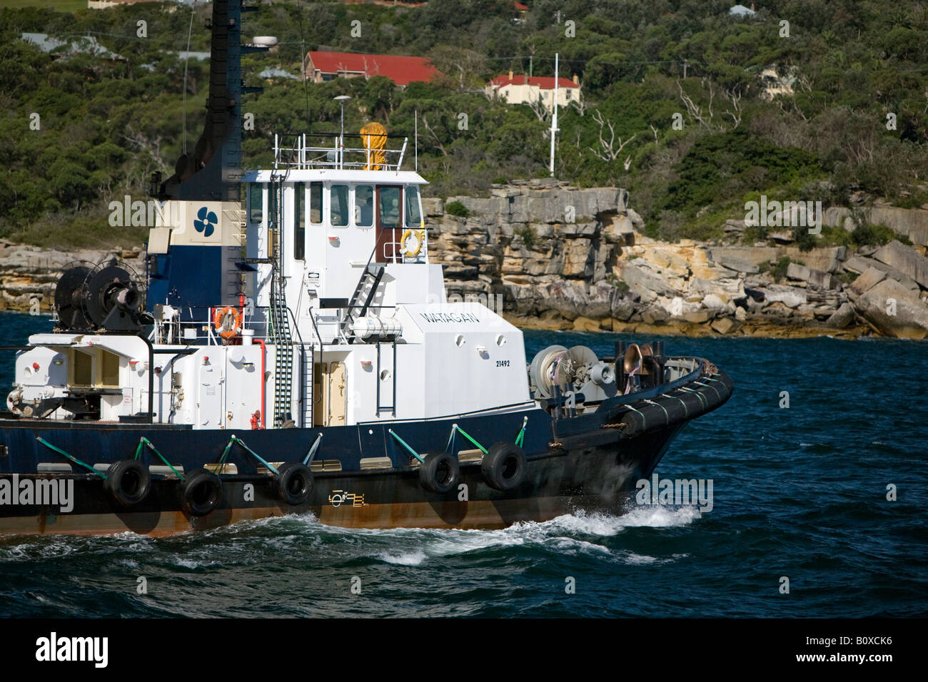 tugboat on sydney harbour,australia Stock Photo