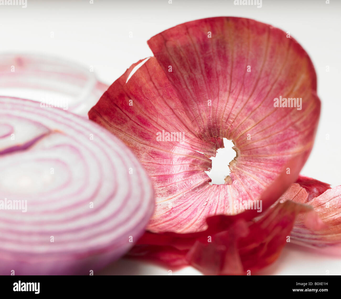 cross section of onion with outer layer of peel removed Stock Photo Alamy
