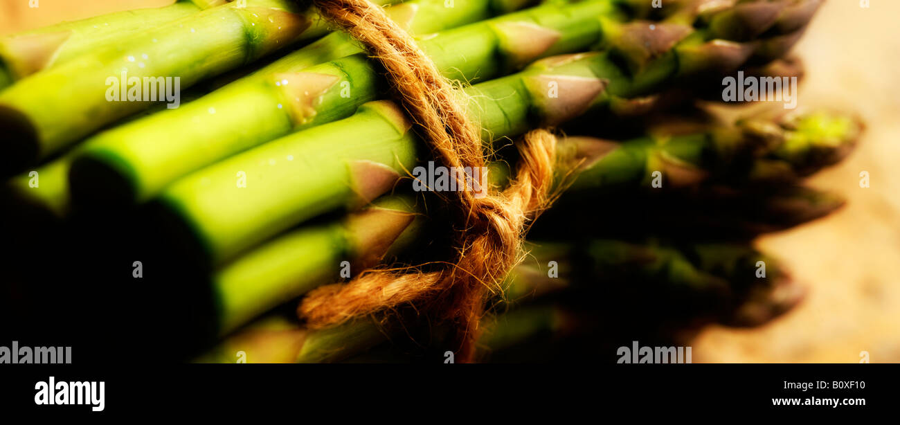 Still life of asparagus tied with string on stone background Stock Photo