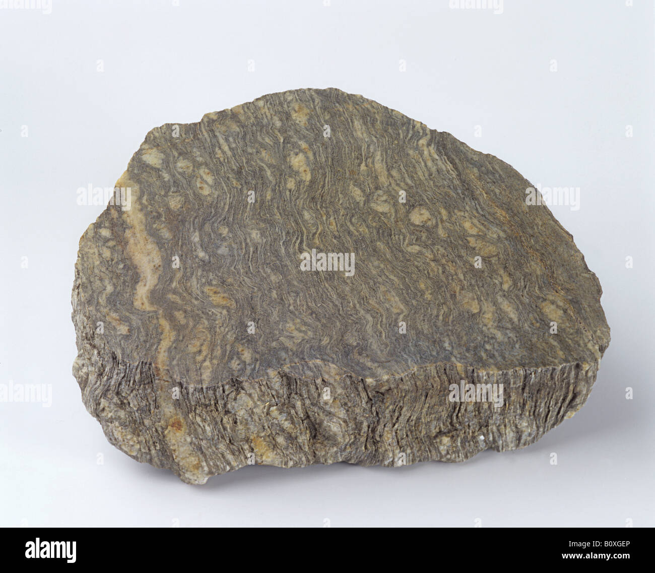 Metamorphic rock : Gneiss Stock Photo