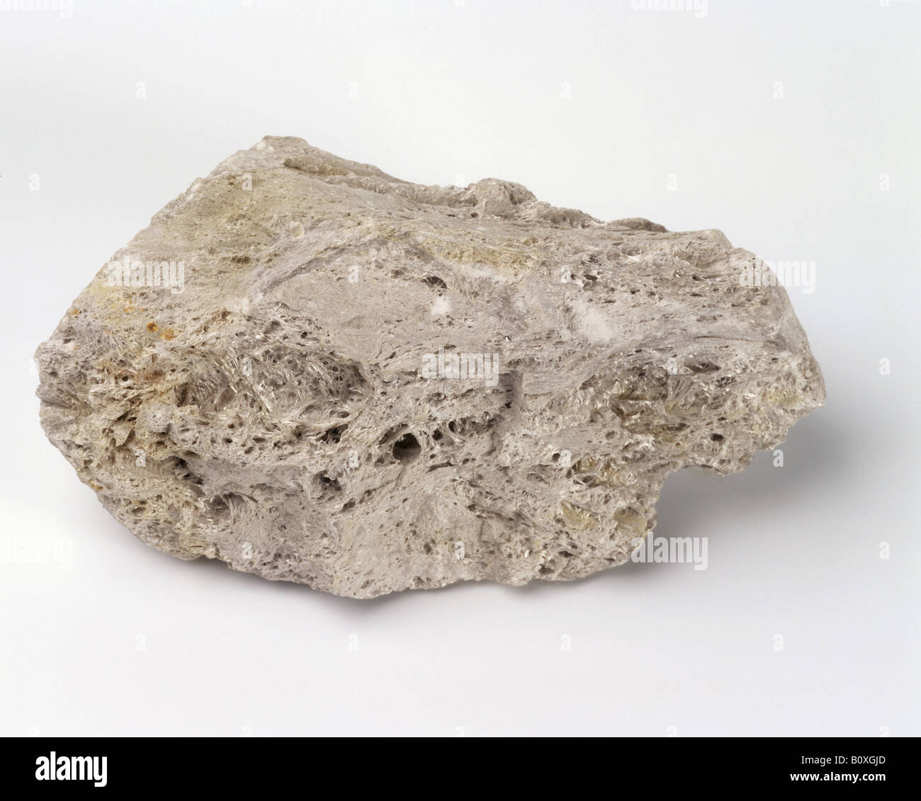 Igneous rock : Pumice Stock Photo