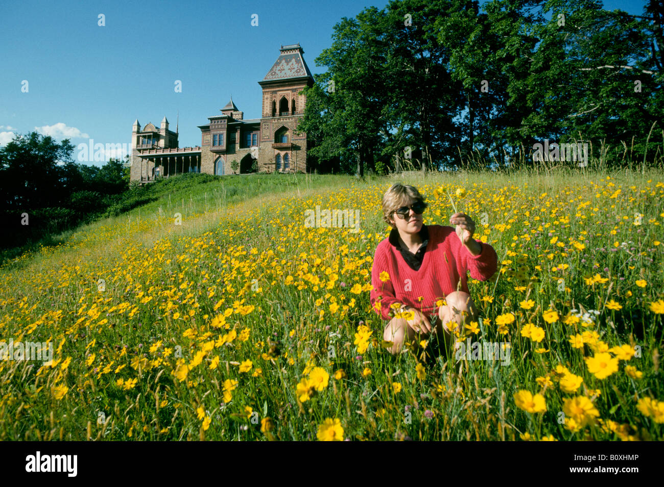 A visitor picks flowers in Olana State Park in the state of New York In the background is Olana Mansion Stock Photo
