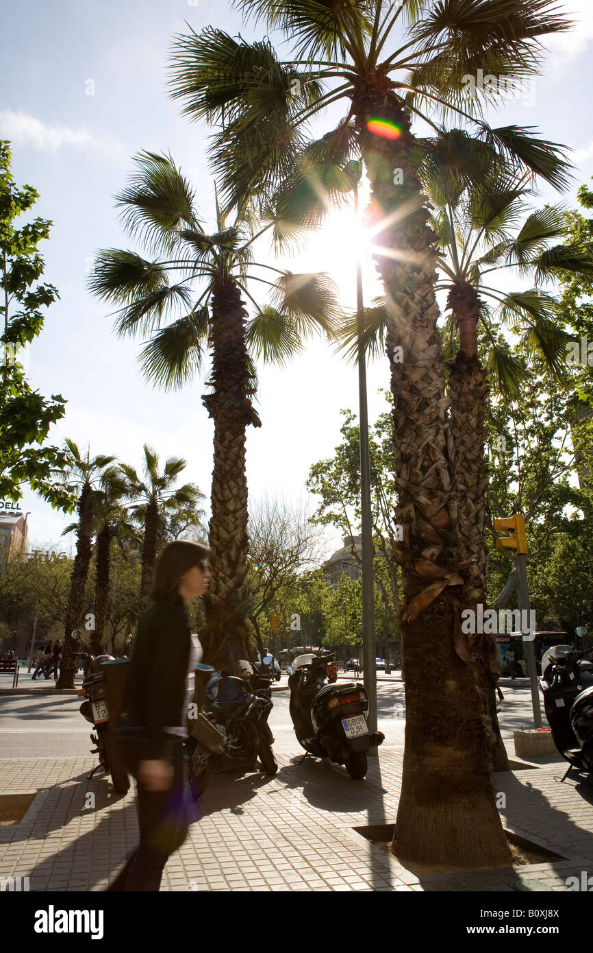 A Day in Barcelona Stock Photo