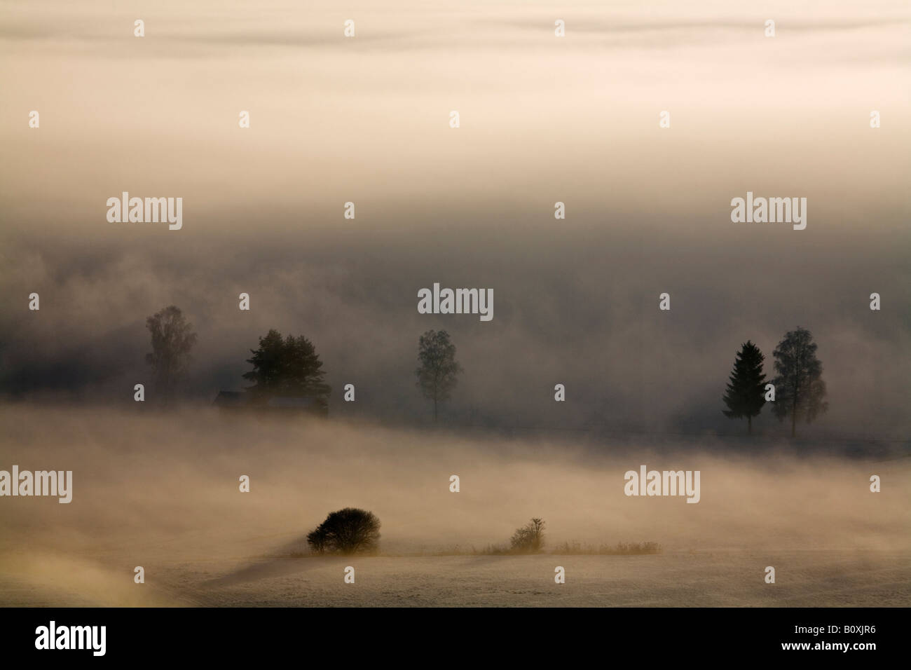 Germany, Bavaria, Murnau, Misty landscape Stock Photo