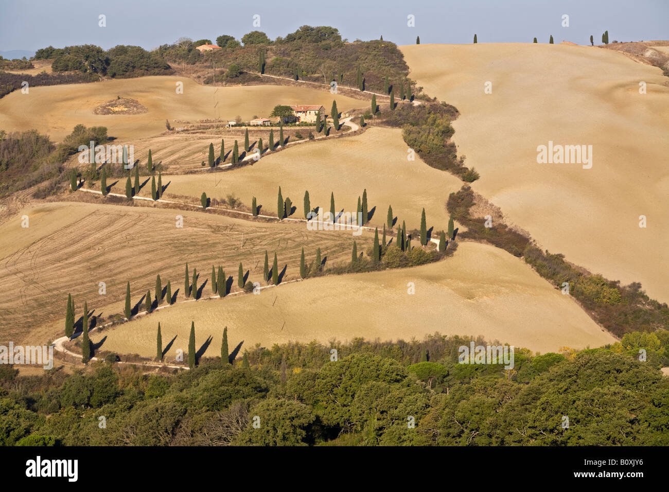 Italy, Tuscany, Farm house and cypress trees Stock Photo