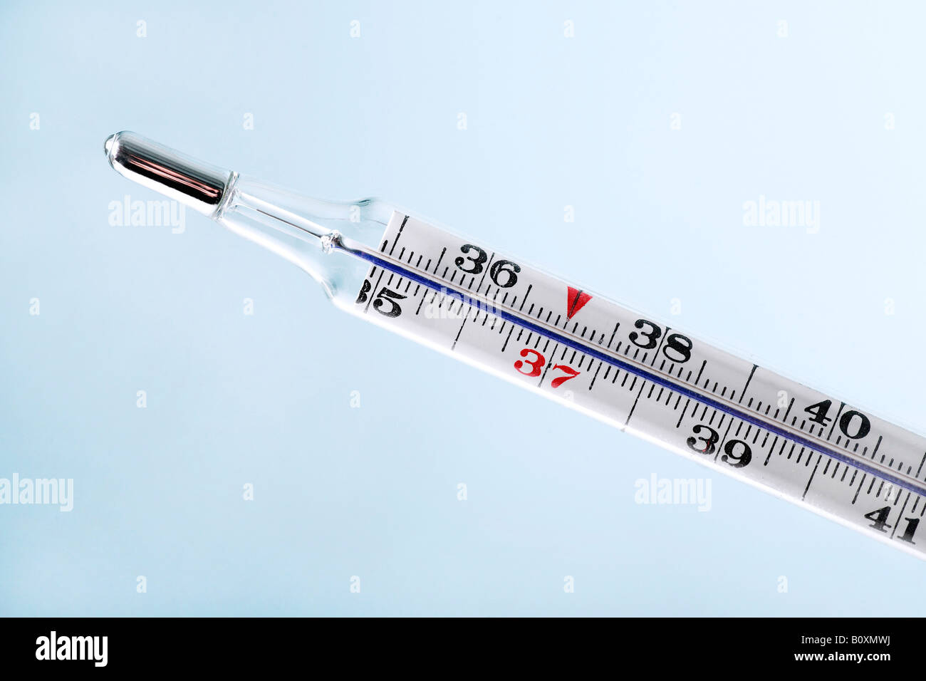 Clinical thermometer, close up Stock Photo Alamy