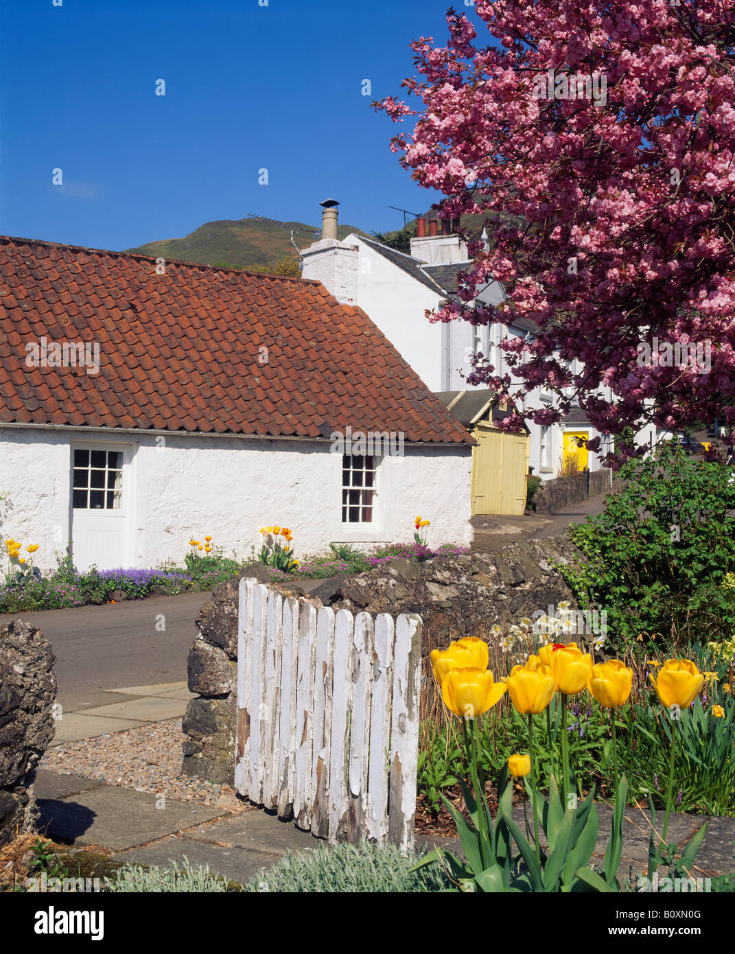 Blairlogie, Stirling, Scotland, UK Stock Photo Alamy
