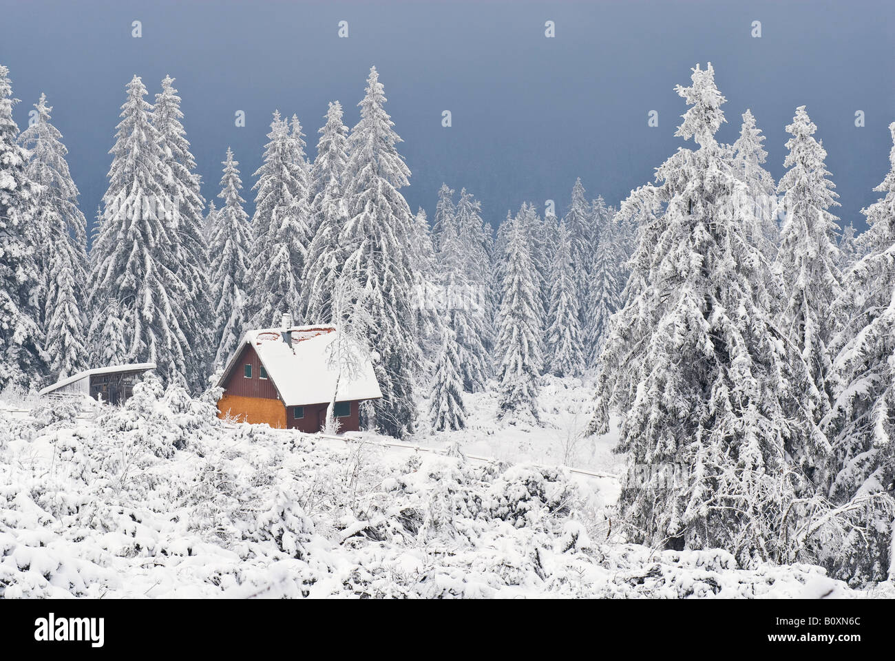 Germany, Black forest, Schliffkopf, Winter scenery Stock Photo