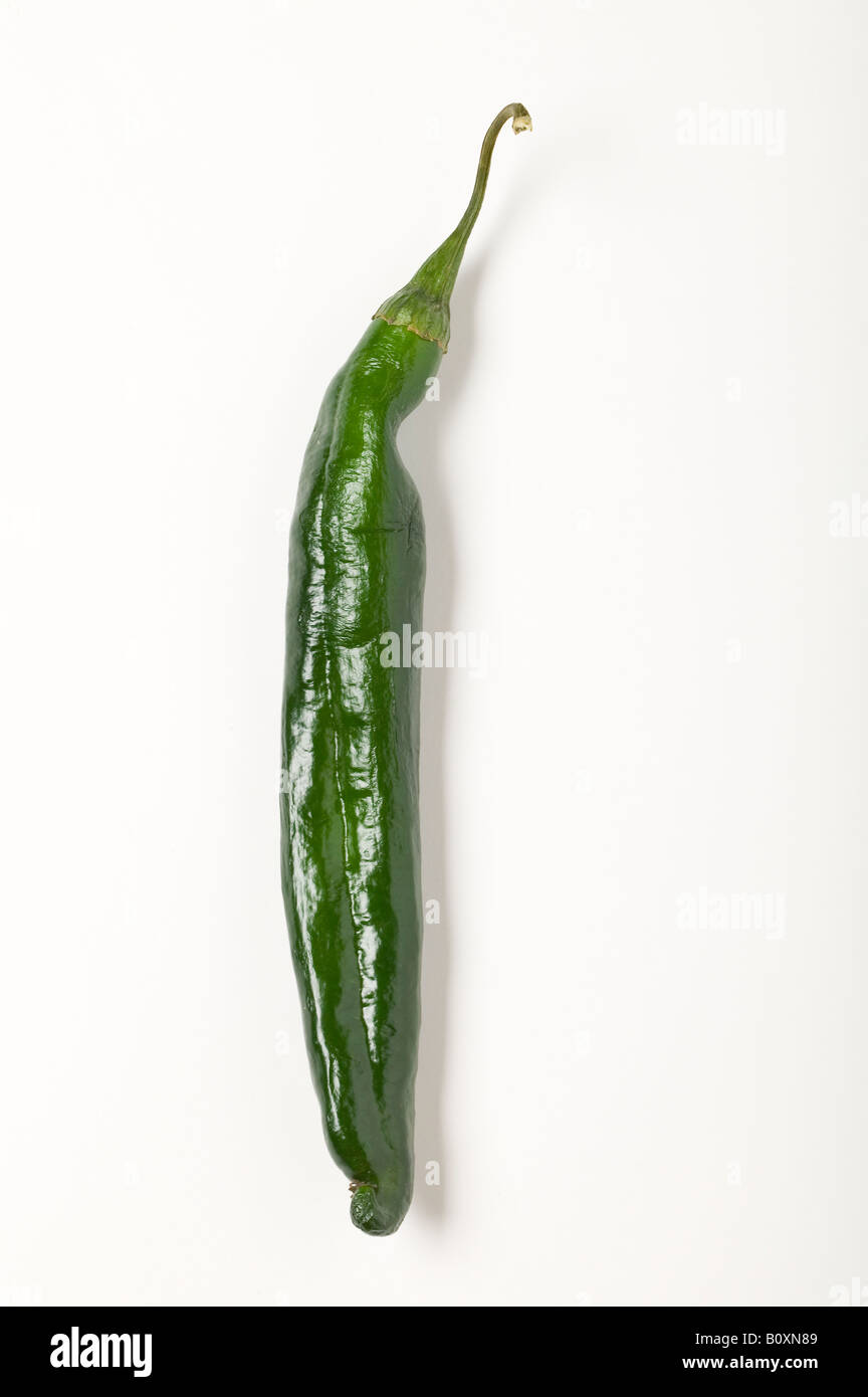 Green Chilaca Chili Pepper Stock Photo Alamy