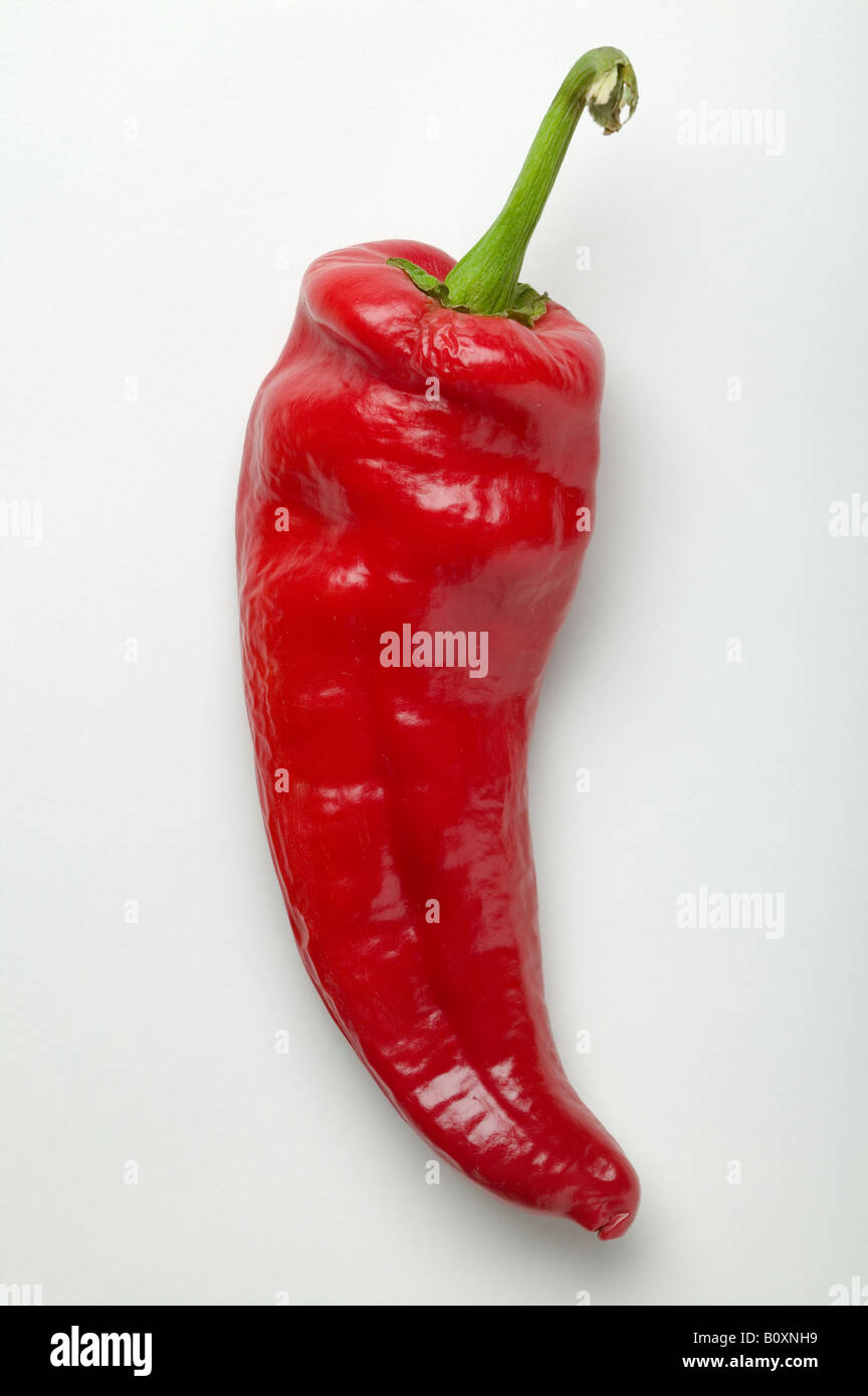 Red Chili pepper Stock Photo