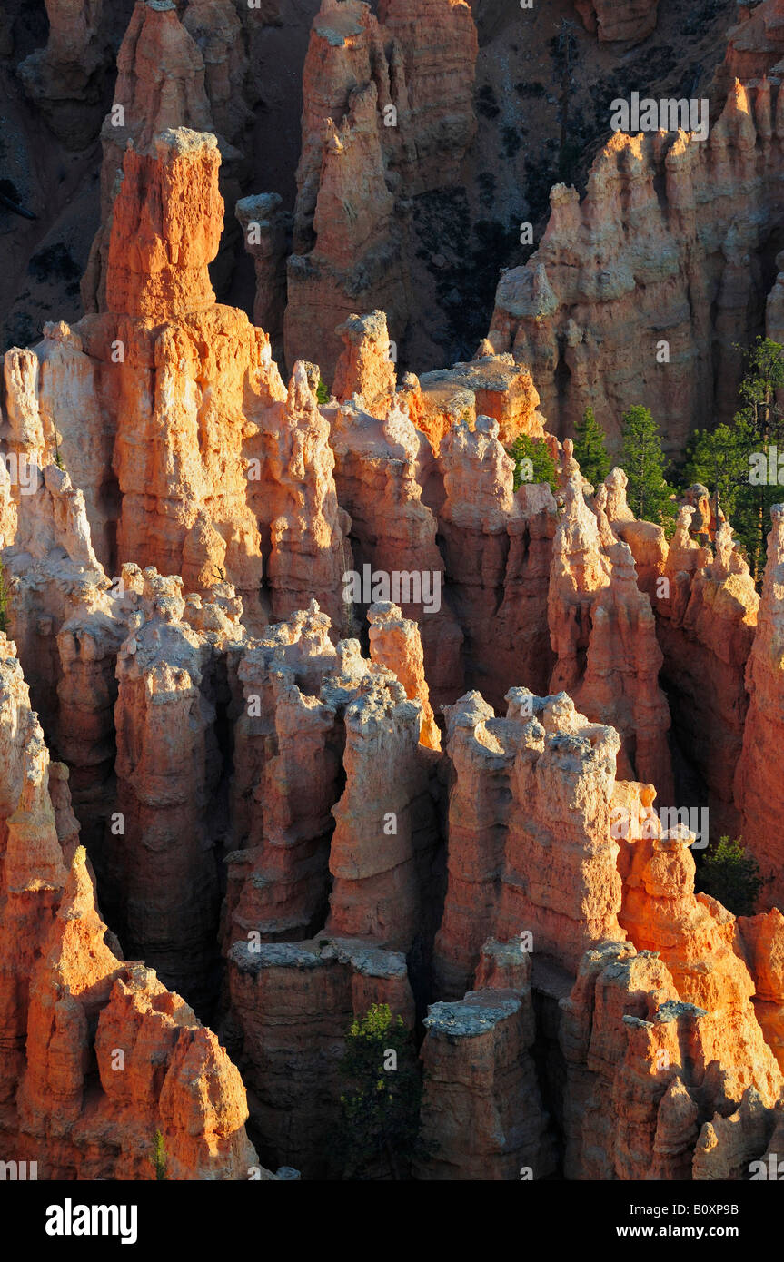 Bryce Canyon National Park Hoodoos at Sunrise Stock Photo - Alamy