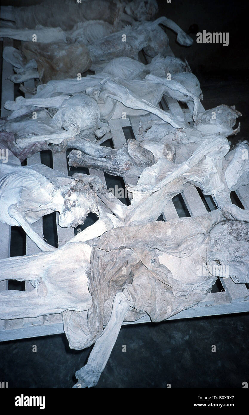 Remains of human bodies (dead bodies, partly mumified) in a genocide war memorial in Rwanda, Rwanda, Gikongoro Stock Photo