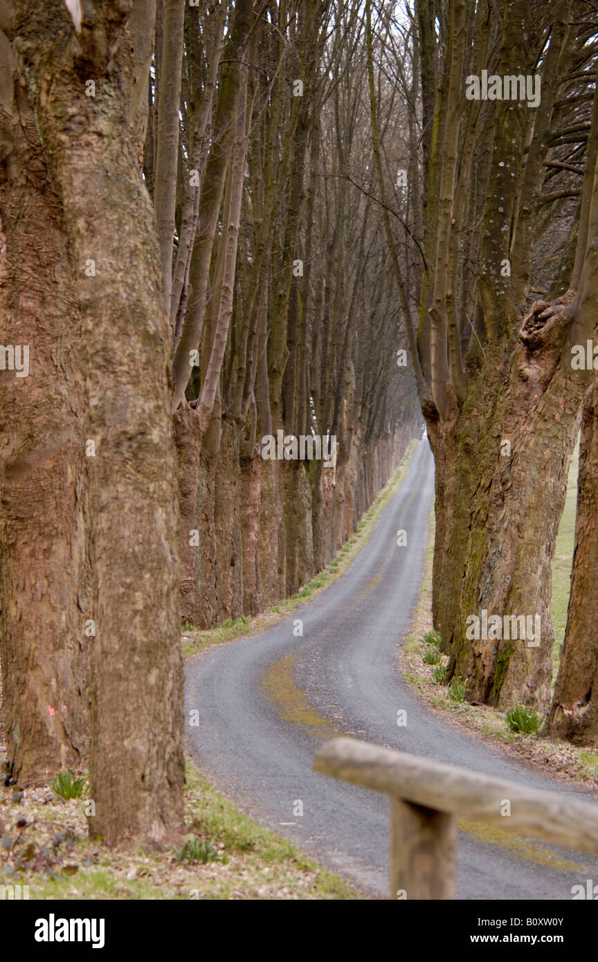 Long narrow gravel road hi-res stock photography and images - Alamy