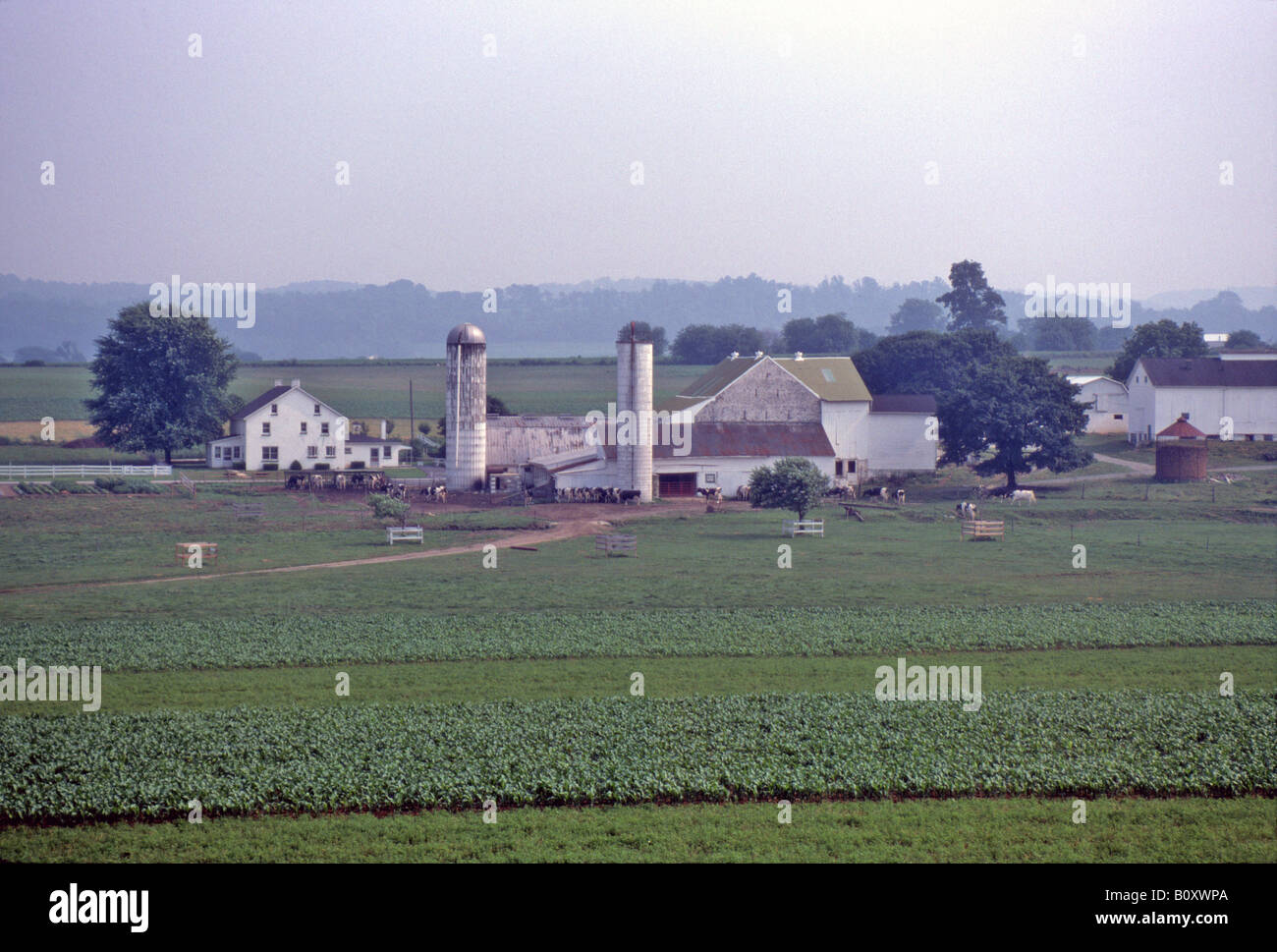 Dairy farm, Hershey, Pennsylvania, USA Stock Photo Alamy