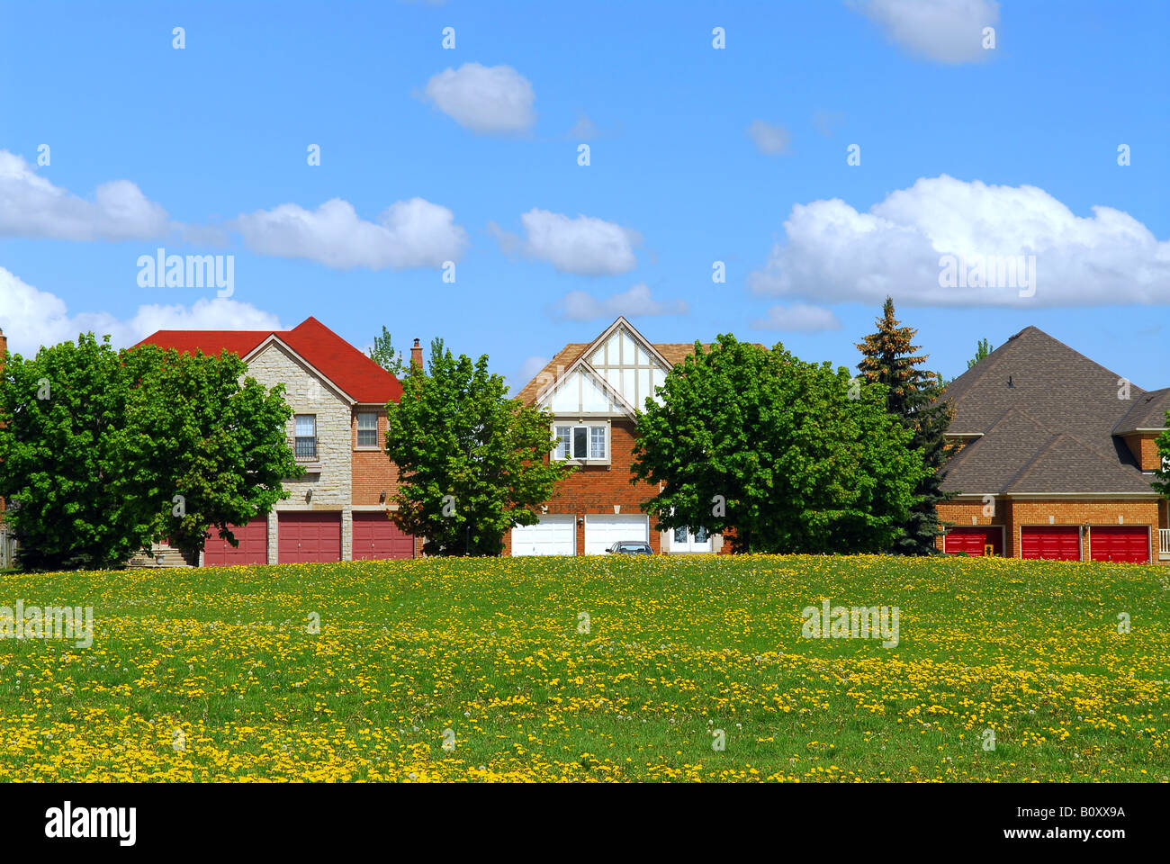 Residential upscale homes with park view in the spring Stock Photo