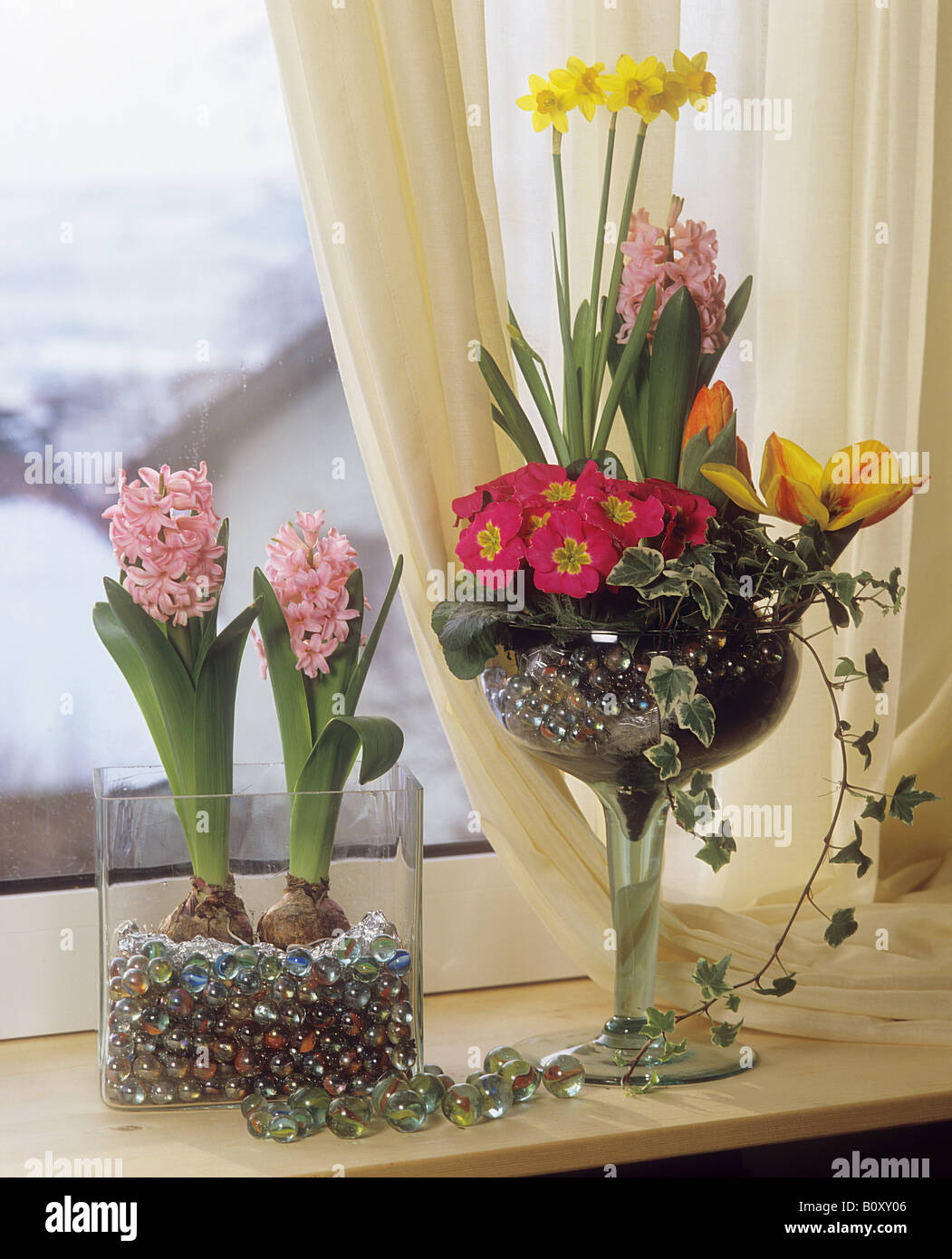 different flowers at the window Stock Photo