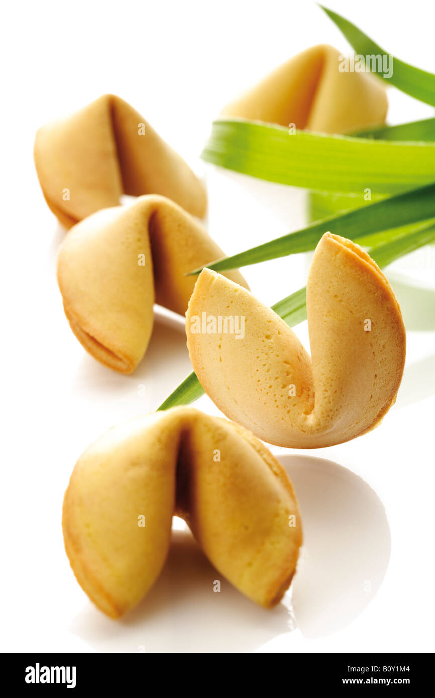 Fortune cookies, closeup Stock Photo Alamy