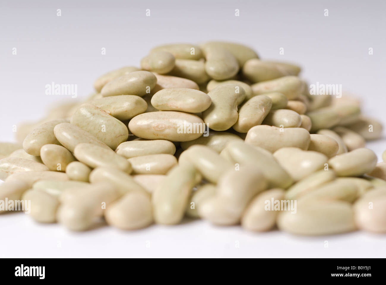 Stock photo of Haricot beans. The photo is shot against a white background Stock Photo Alamy