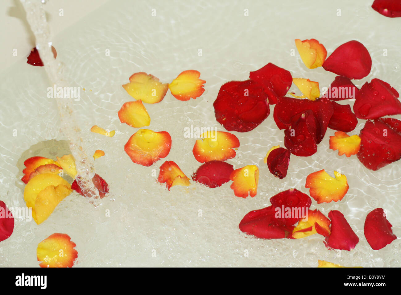 Rose Petals in hot tub Stock Photo Alamy