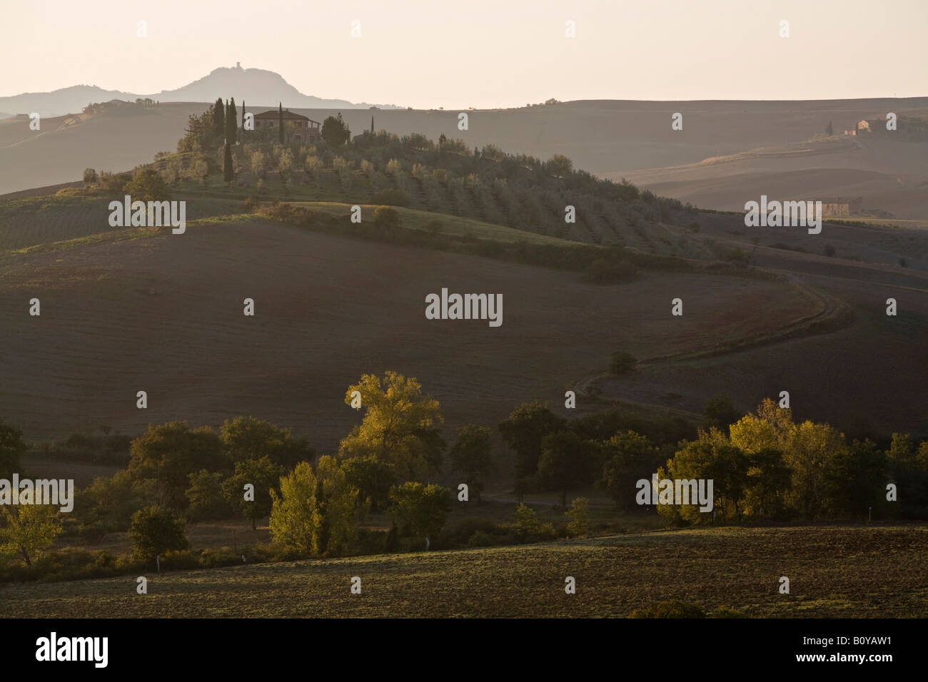 Italy, Tuscany, Landscape Stock Photo