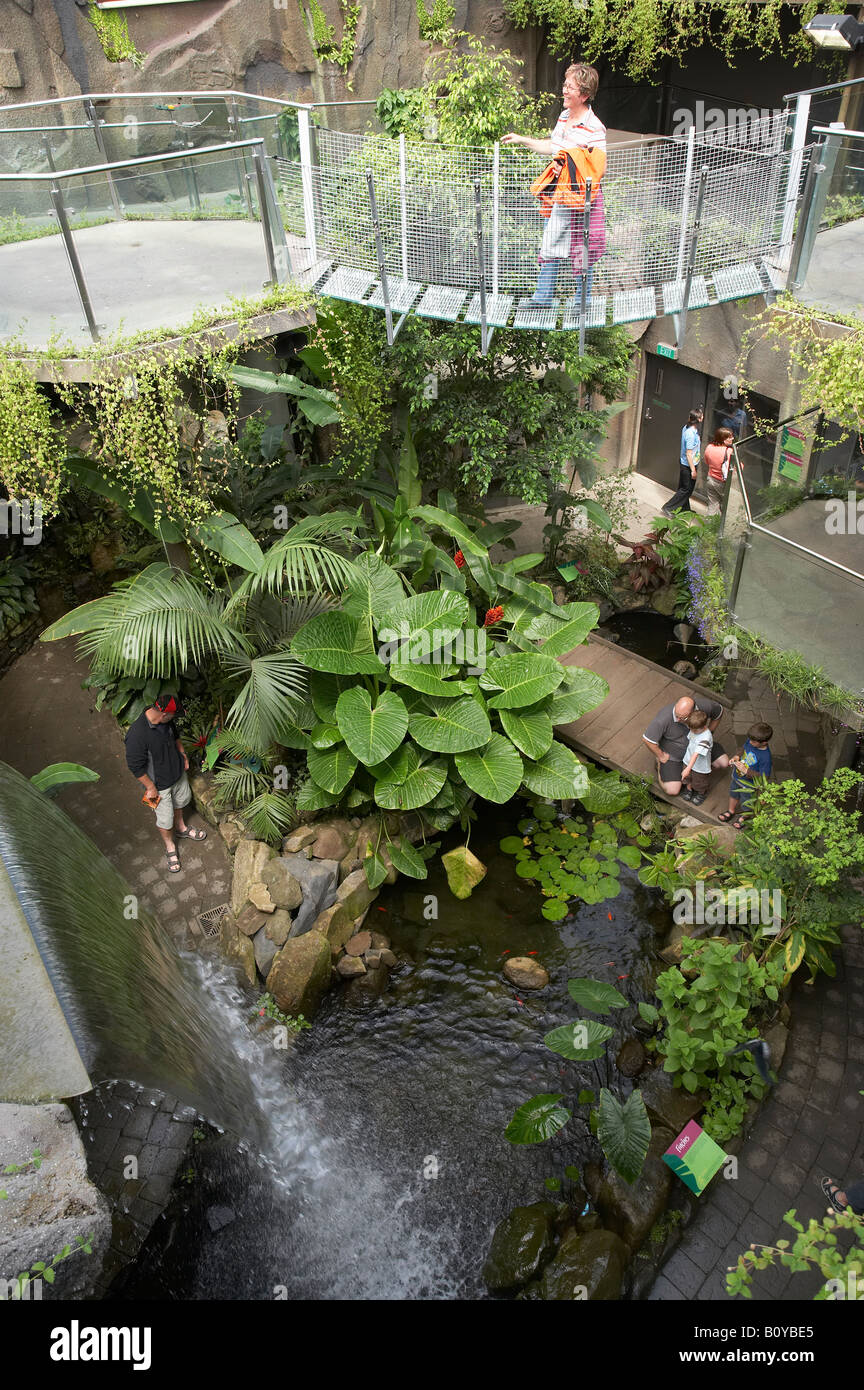 Tropical Butterfly House Otago Museum Dunedin South Island New Zealand