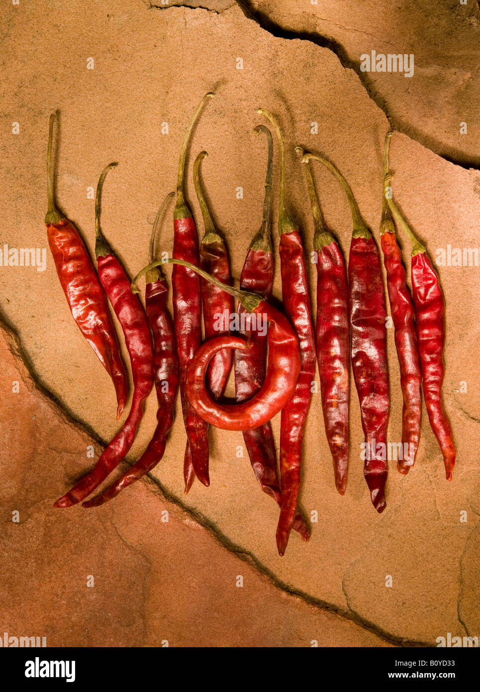 Arbol Red Chili Pepper pods Stock Photo Alamy