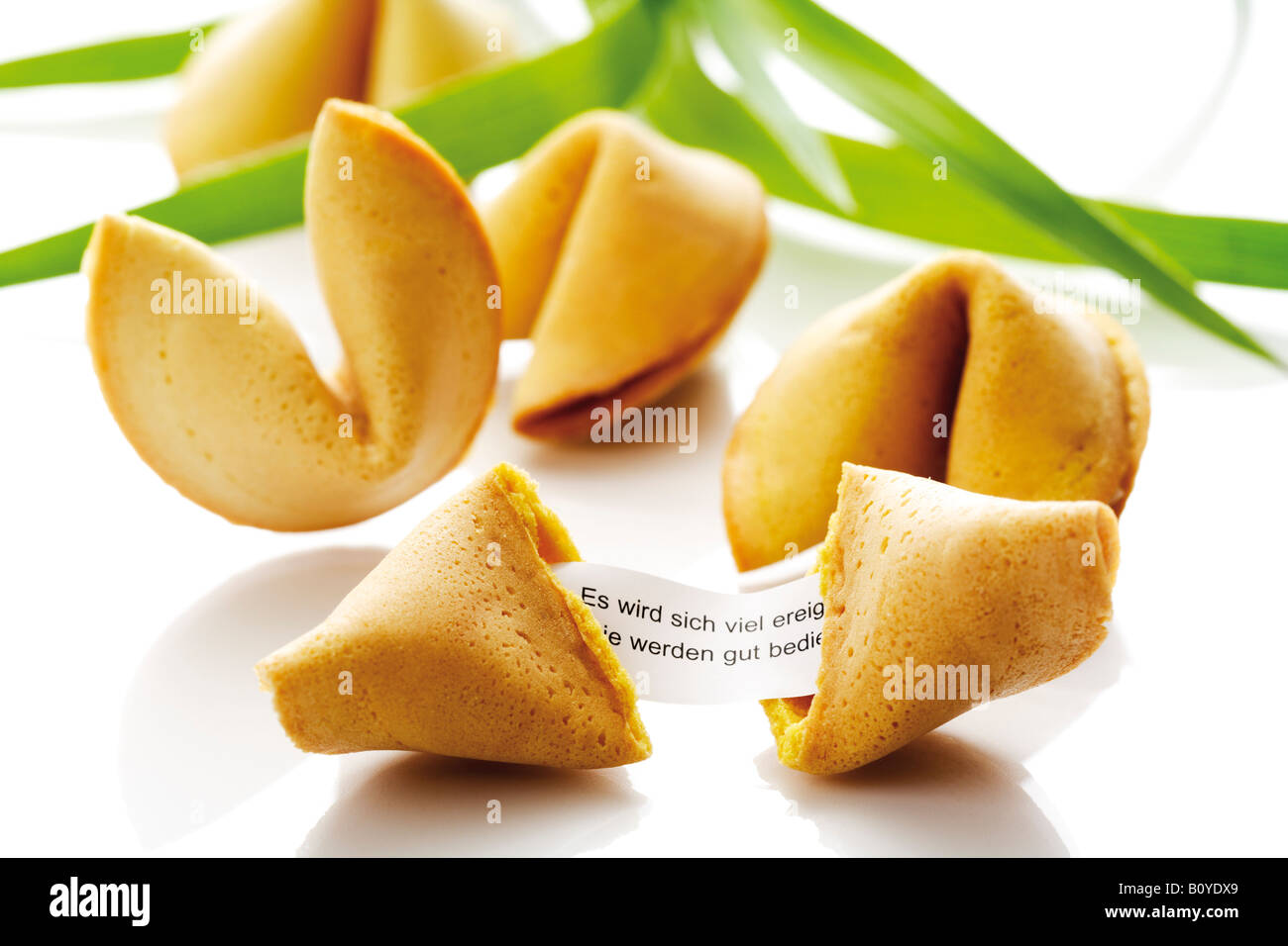 Fortune cookies, close-up Stock Photo