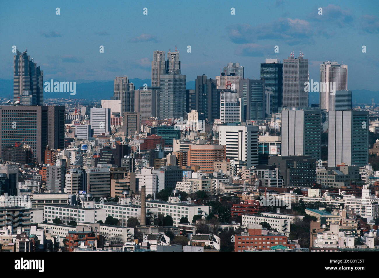 skyline of Tokio, Shinjuku Area, Central Park, Japan, Tokio Stock Photo