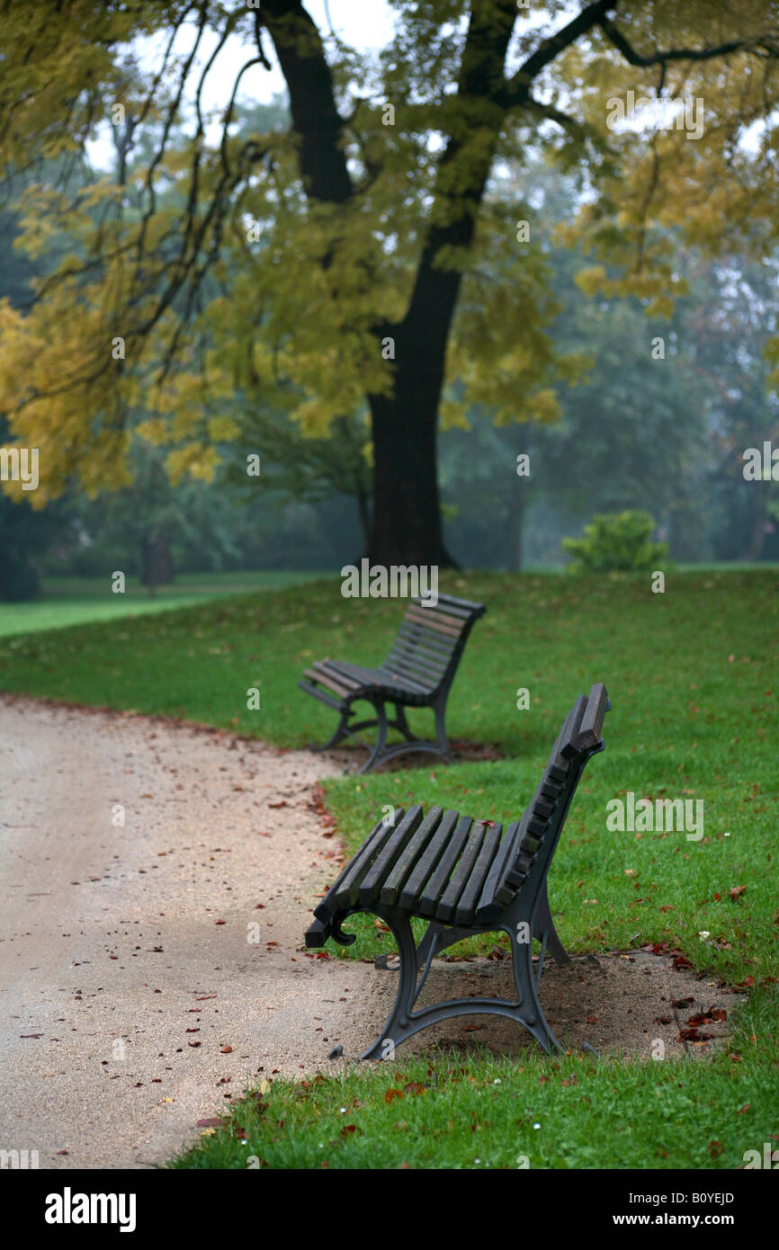 two empty benches in a park, Germany Stock Photo - Alamy