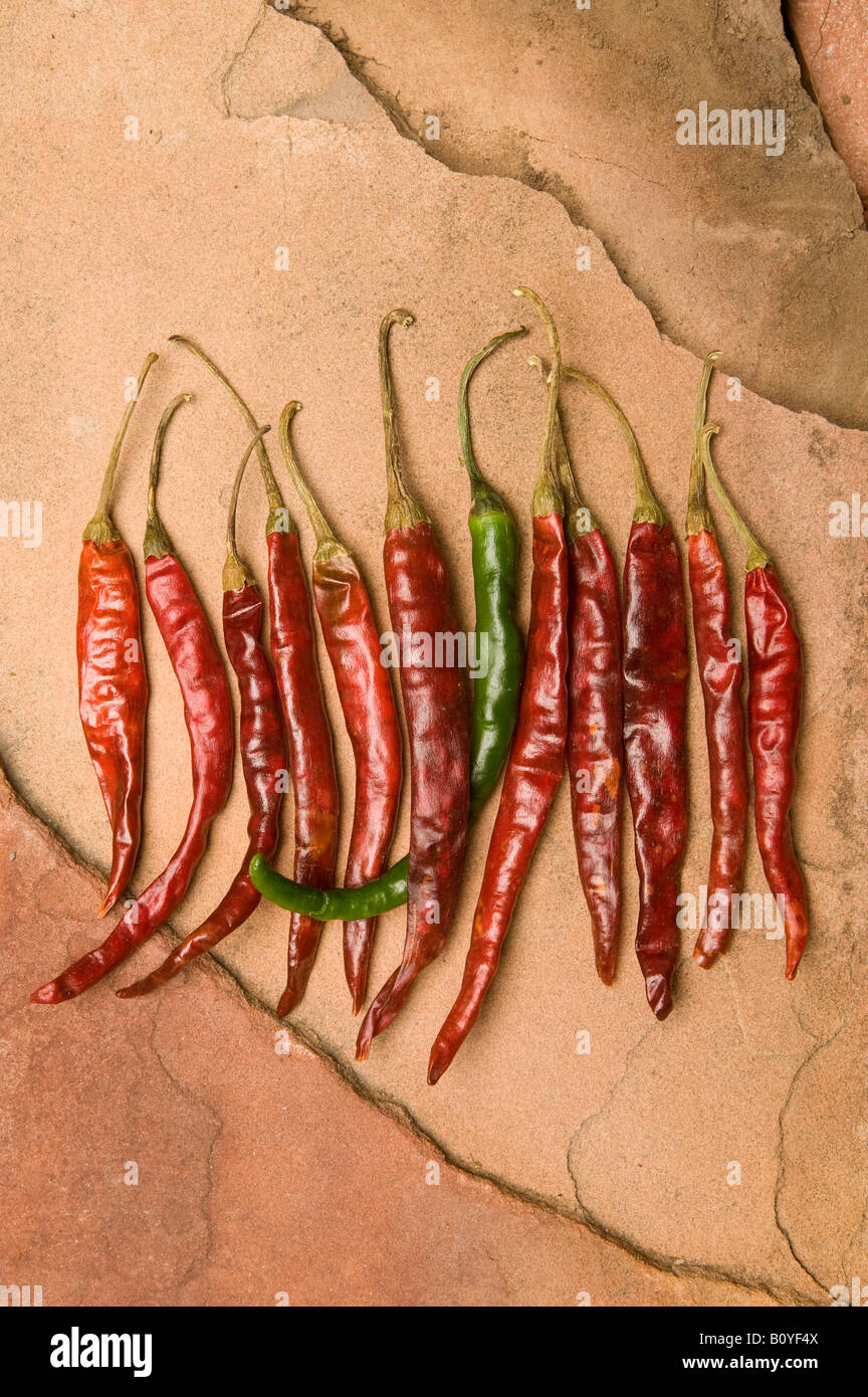 Arbol Chili Peppers, red and green. Stock Photo