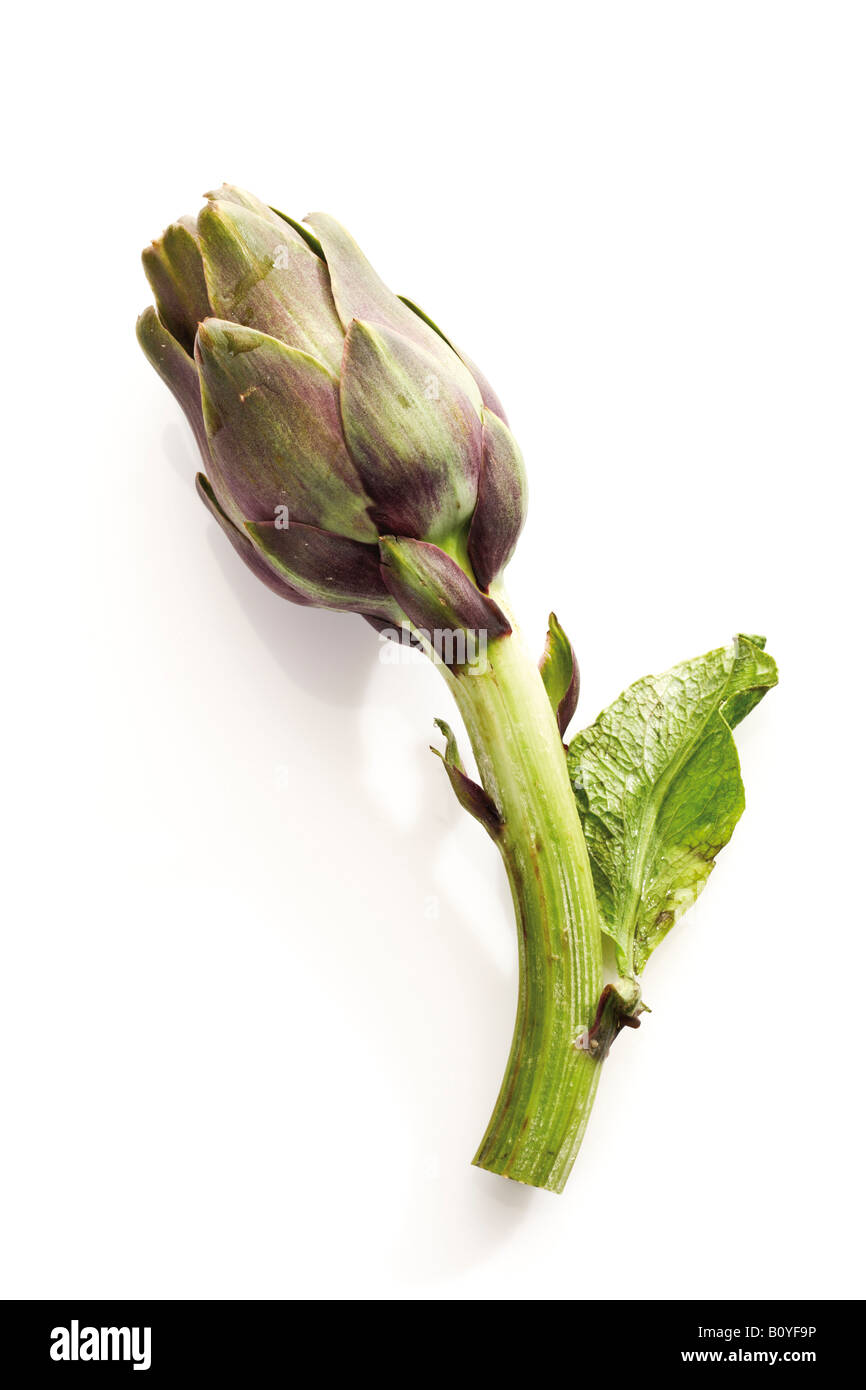 Artichoke with leaves Stock Photo Alamy