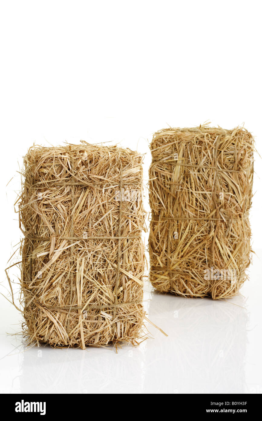Bale of hay Stock Photo Alamy