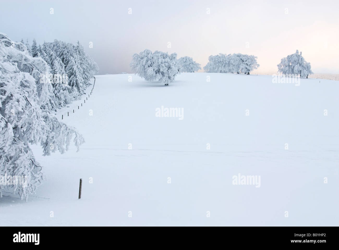 Germany, Black forest Schauinsland, Winter scenery Stock Photo
